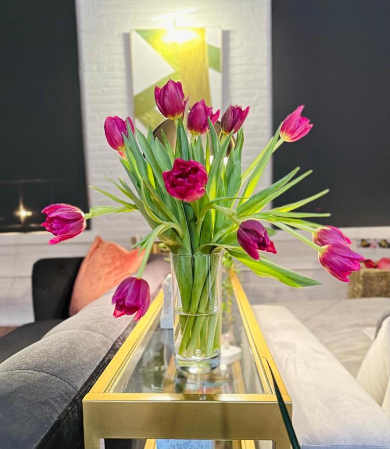 2Br 2Br Le Chateau 505 Lux Penthouse In A Historic Building Utica Esterno foto
